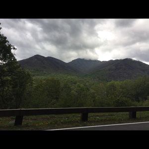 Meet your Posher, Gracie